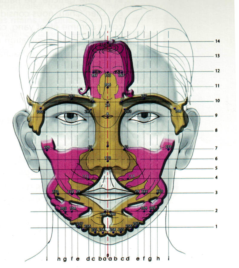 Points Dien Chan Réflexologie Visage