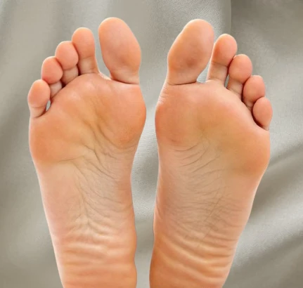 Pieds pour illustrer la réflexologie plantaire