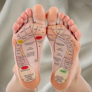 pieds et zones réflexes